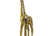 une girafe debout sur un fond blanc