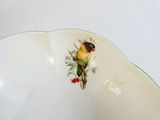 un petit oiseau perché sur un bol blanc