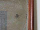 a reflection of a bird in a mirror on a table
