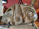 a sculpture of a turtle on display in a museum