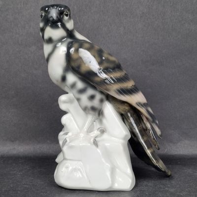 SAXE. Sujet en porcelaine polychrome représentant un rapace …