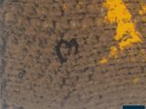a picture of a person walking on the sidewalk