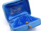an image of a blue case with a ring inside of it