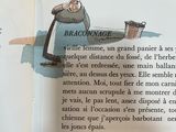 Photo 8/20 du lot