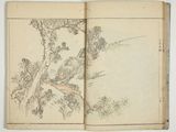 an open book with a drawing of a tree and a house