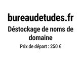 Photo 1/1 du lot