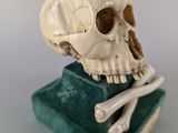 a skull sitting on top of a book on a table