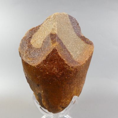 a piece of bread that is sitting on top of a glass stand