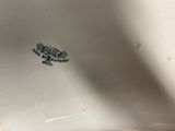 an image of a close up of a white plate with a turtle on it