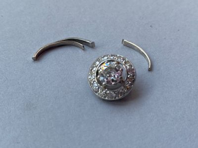 une photo montrant deux piercings au nez ornés d'un diamant