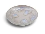 an image of a white plate with blue flowers on it