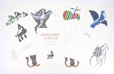 plusieurs cartes sur lesquelles figurent des dessins d'animaux et de personnes, posées sur une surface blanche
