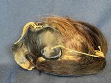an image of a stuffed animal with a wig on it ' s head