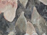 a close up of a painting of flowers on a wall