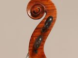a close up of the back of a violin