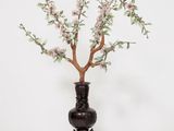 un vase noir contenant un arbre, posé sur une table