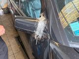 a man that is standing next to a car with a bird on it