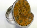 an image of a silver ring with a yellow fossil stone in the center