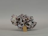 a paper flower that is sitting on top of a piece of paper