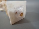 Photo 12/12 du lot