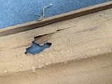 a hole in the floor of a room that has been torn open