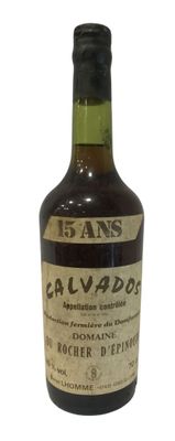 Ancienne bouteille CALVADOS DOMAINE DU ROCHER D'EPINOUZE - B…