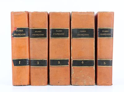 quatre livres orange sont alignés sur une surface blanche