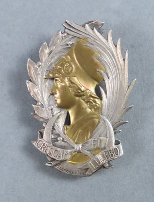 an image of a silver and gold medal with a woman ' s face