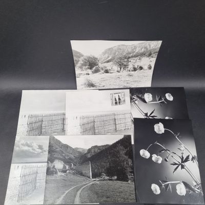three black and white photographs of a landscape with mountains and trees