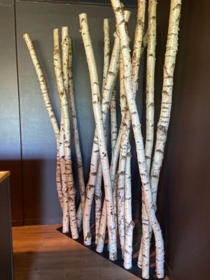un tas de branches qui se trouvent les unes à côté des autres