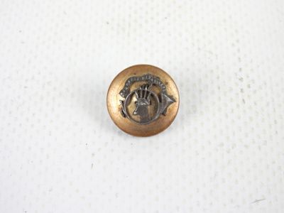 une image représentant un bouton en métal orné d'une tête de cheval
