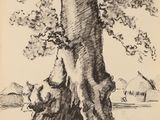 une image représentant un dessin d'un arbre avec un oiseau en arrière-plan