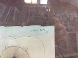 a picture of a drawing of a bear on a piece of paper