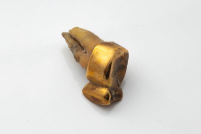 a gold object on a white surface with a white background