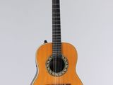 an acoustic guitar on a stand against a white background