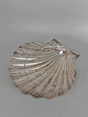 un objet en forme de coquillage dans l'eau, posé sur une surface grise