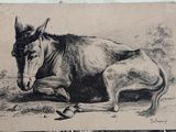 a drawing of a donkey laying down on the ground