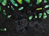 a painting of green leaves on a black surface