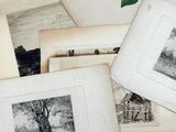 many old photos of trees and animals on the table