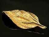 broche en feuille d'or sur fond noir avec reflets