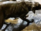 une statue représentant un chien et un chat posée sur une table