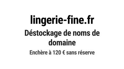 Nom de domaine lingerie-fine.fr.