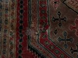 a cat that is sitting on a rug on the floor