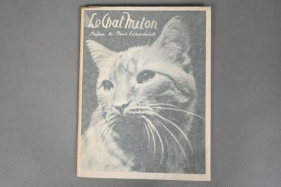 a picture of a cat that is on the cover of a magazine