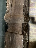 Elément de plafond ou mur en chêne sculpté. (photo 5)