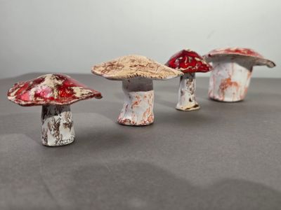 trois champignons posés sur une table