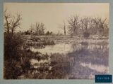 a picture of a black and white photo of a swamp