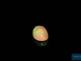 an oplite in the dark with a black background