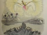 an illustration of a woman in a pink dress flying over a body of water
