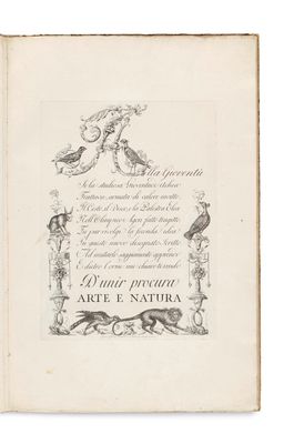 un livre ouvert sur lequel est dessiné un oiseau
